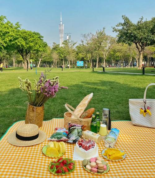 二沙岛野餐攻略～春天郊游92草坪拍照_拍照_郊游_春天去哪玩_二沙岛