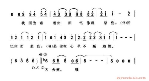 中国通俗歌曲 不要害怕