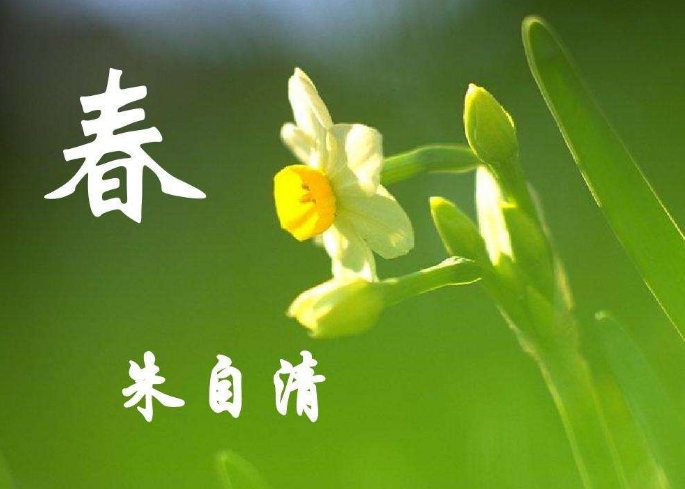 朱自清的《春》表达了怎样的思想感情