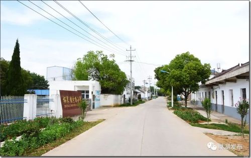 美丽乡村之分路集:旧日小集市,今日新农村