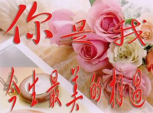 &nbsp; &nbsp; 缘分让我们相遇与相知, 我不完美 ,但我懂得怎样珍惜