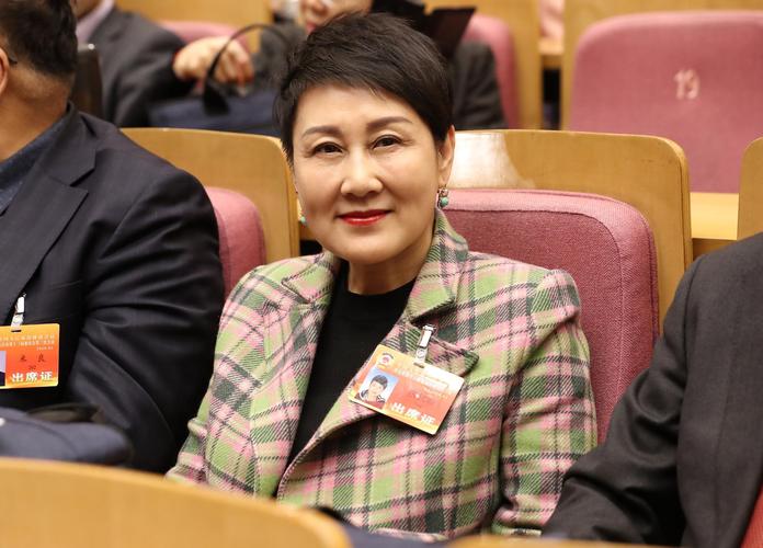 委员张凯丽要保护尊重精品影视不能恶搞