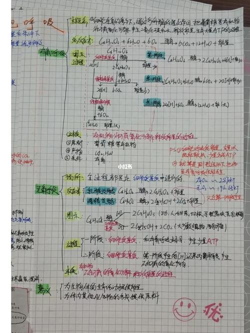 必修一,光合作用,呼吸作用