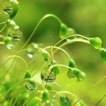 一切都赋予了生命力,风景头像图片-回车桌面