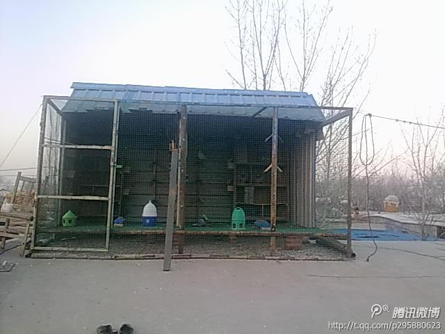 这样的棚如何改跳笼