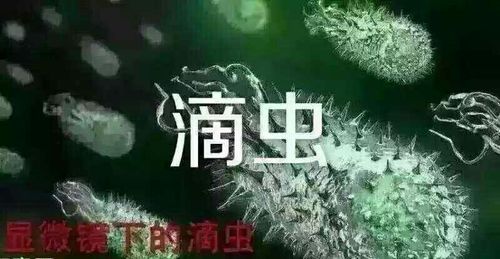 妇科指南-滴虫性阴道炎你了解多少?
