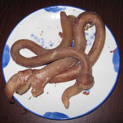 德系西门塔尔成母牛 .