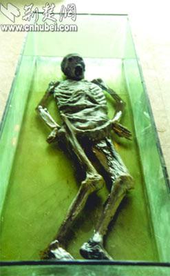 中国第一古尸案解密战国女尸惨遭毒手附图