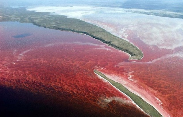 2016-06-24 赤潮 大自然的血泪(图) 58