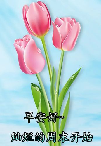 周末清晨暖心问候早安祝福语