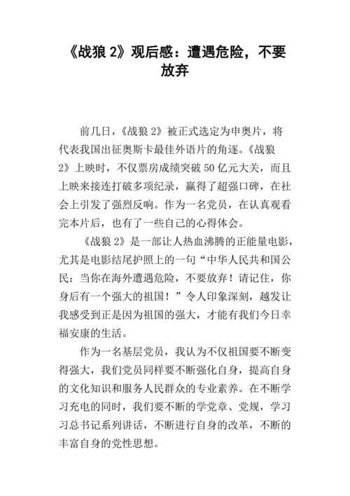 战狼2观后感遭遇危险不要放弃