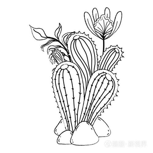 有叶子和奇花的仙人掌植物矢量插图