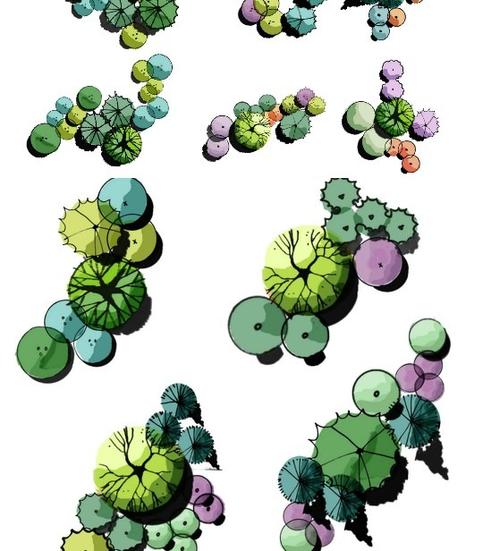日本500种psd水彩手绘园林植物草地灌木平面图效果图后期