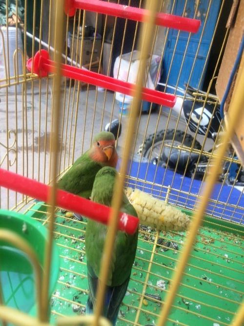 请输入验证码以便正常访问