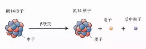性元素,还比如空气中有一定的碳14,在其衰变成氮14的过程中会释放β