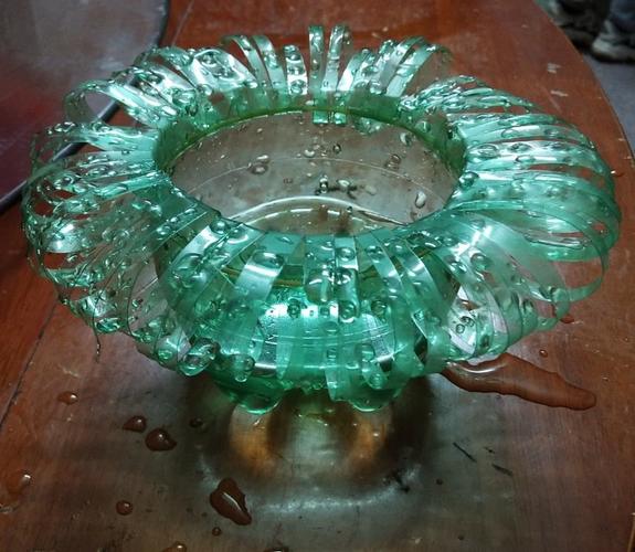 雪碧瓶子变花盆