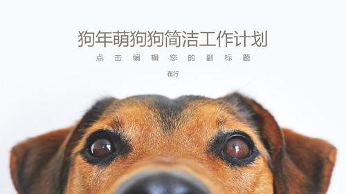 狗主题工作计划简洁清新商务风通用动态ppt模板素材方案
