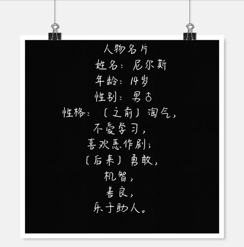 尼尔斯人物名片