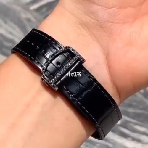 卡地亚山度士黑武士,真的太好看了_山度士_卡地亚怎么