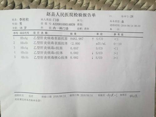 我今天查了乙肝五项,查出这个单子说是小三阳,小三阳就是病毒携带者吗