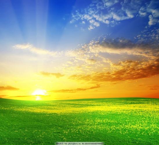 早上唯美图片欣赏