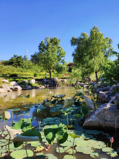 2016年6月22日荣成青山公园和寻山公园.