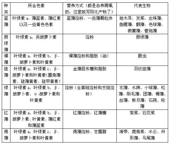 原生动物门中藻类的分类与色素种类营养方式进化关系和代表藻类?