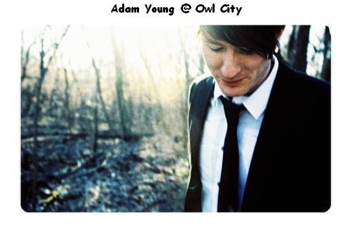 owl city折纸