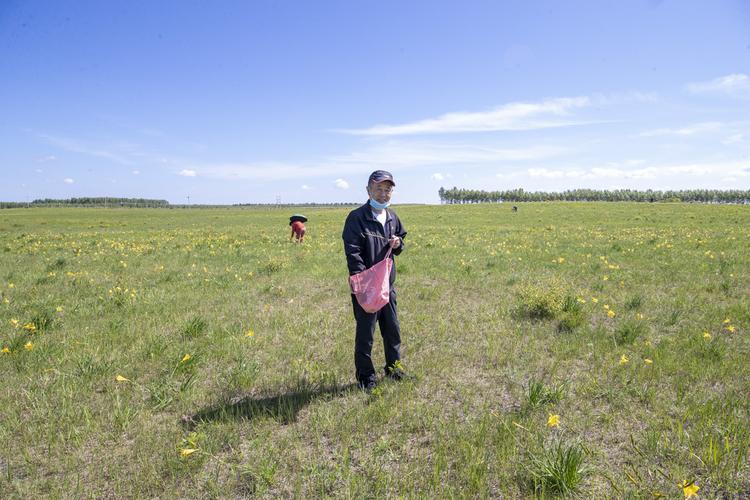 我和草原有个约会--固山贝子草原