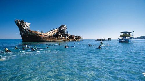 摩顿岛moreton island观海豚游船一日游(黄金海岸/布里斯班出发).