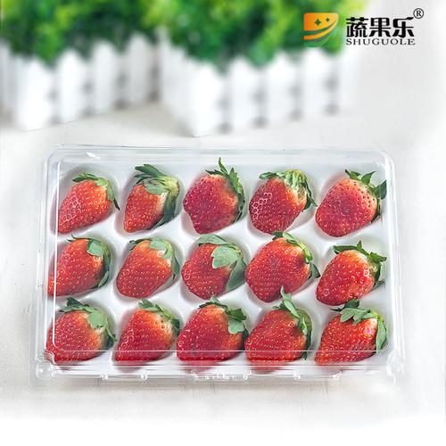 草莓包装盒透明