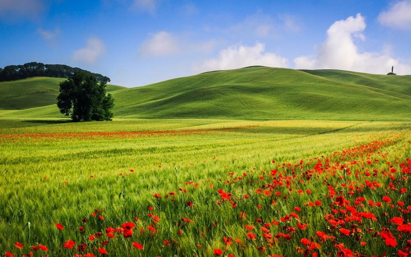 精美电脑锁屏电脑壁纸