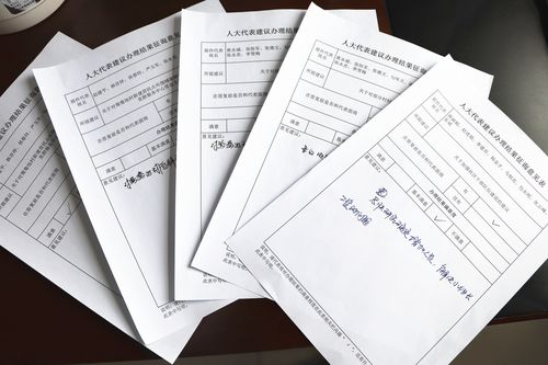 河西堡镇人大召开代表建议面对面答复会议暨开展"双联系"活动