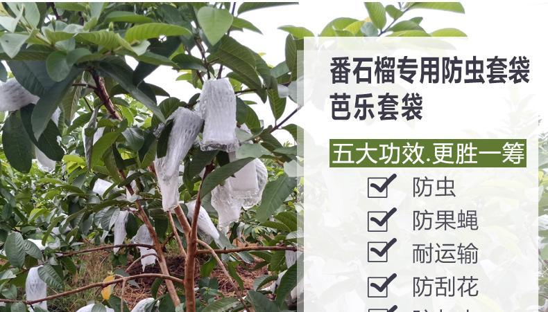 网套保护套网包包装袋芭乐水果袋防虫袋芭乐番石榴一体专用袋包邮