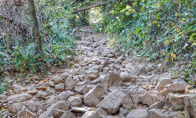 合肥这座山高度仅284米却藏罕见火山瀑地貌成网红旅游地