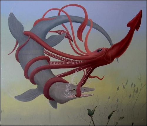 巨型乌贼化石被发现:体长超过10米,一锅根本放不下