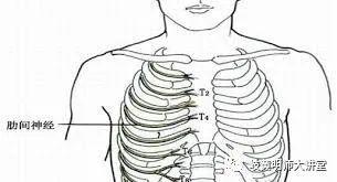 原发性肋间神经痛一般均无明显的全身症状,继发性者根据原发病而不同