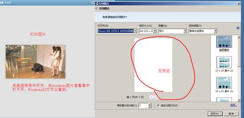 照片打印预览时空白的,打印出来也是空白,windows照片