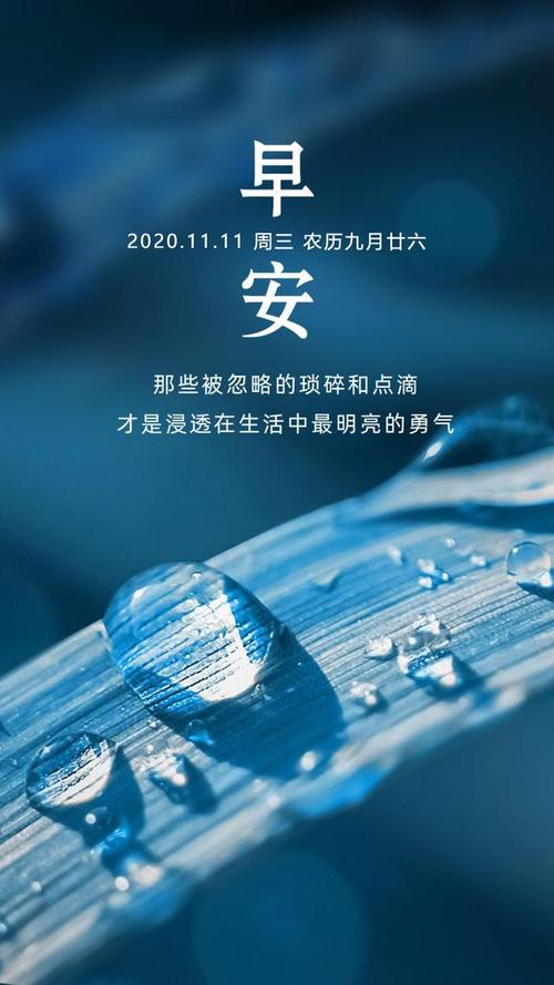 双十一正能量励志早安心语语录,11.11早上好图片日签阳光