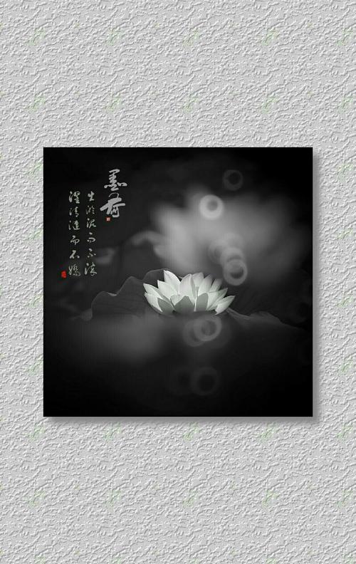 荷花可以这样拍 写美篇 组图一:《墨荷》  摄影思路:荷花又称"莲花"