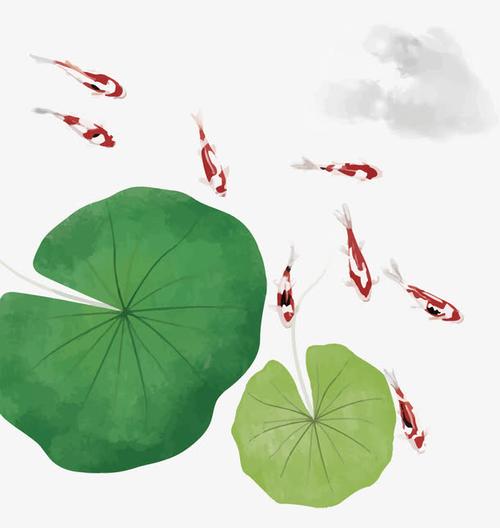 关键词 : 鱼,荷叶,池塘,中国风,png,png图片,png免费下载