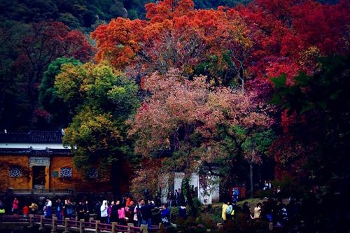 苏州天平山风景名胜区门票观太湖美景的好地方