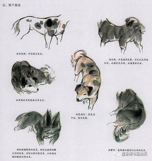 国画狗的画法有哪几种呢?来看看国画中狗的画法