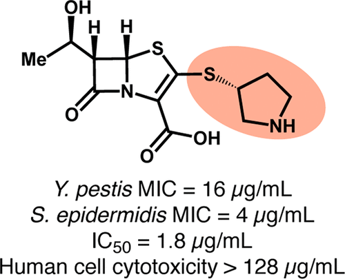 optimization of a β-lactam scaffold for antibacterial activity