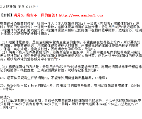1952年,赫尔希和蔡斯利用同位素标记法,完成了著名的噬菌体侵染细菌的