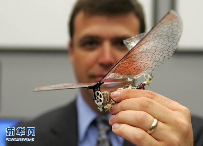 美空军研制的微型飞行器