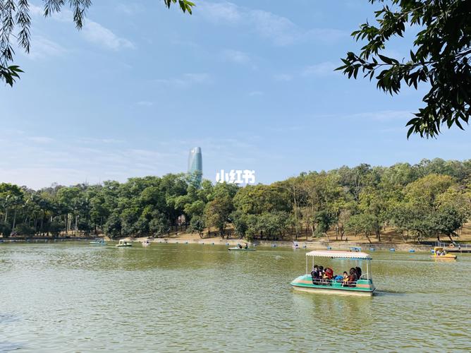 深圳莲花山_莲花山公园_莲花山公园-风筝广场自由行热门攻略_爬山