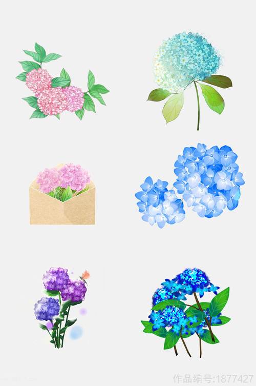清新淡雅绣球花卉花朵免抠元素素材