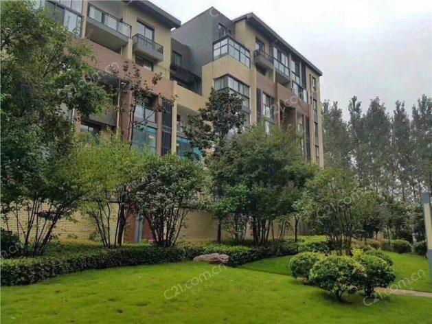 周口市建业联盟新城 3室 2厅 99平米