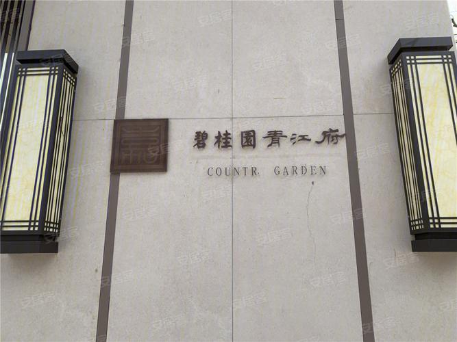 乐山碧桂园青江府-实景图(3) - 乐山安居客